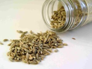 Fennel Seeds: Everything You Need To Know