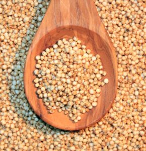 What Is Quinoa?