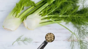 What are fennel seeds?