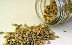 What are fennel seeds?