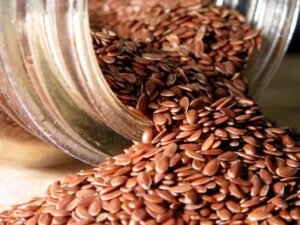 What Are Flax Seeds?