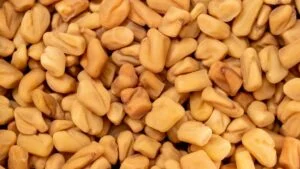 Fenugreek