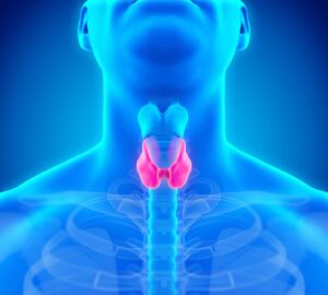 Thyroid Issues