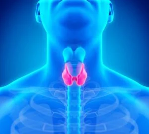 Thyroid Issues