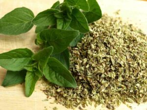 12 Amazing Weight Loss Herbs You’ve Never Heard Of