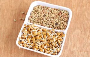 How Effective Horse Gram Is For Weight Loss?