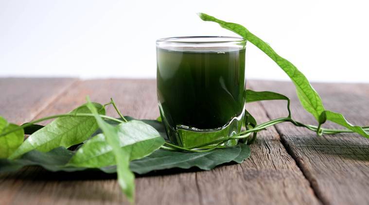 Chlorophyll Drops: The Weight Loss Solution That Works