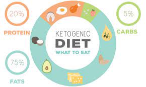 What Is Ketogenic Diet?