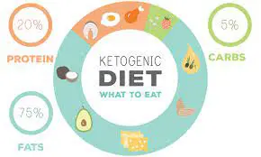 What Is Ketogenic Diet?