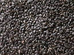 Health Benefits of Sabja Seeds