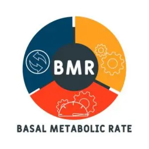 Importance Of BMR